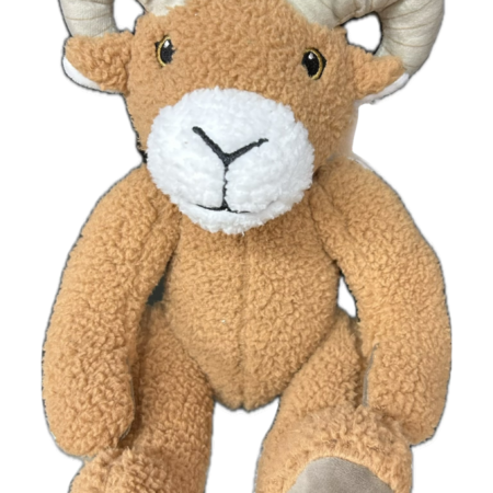Mountain Goat