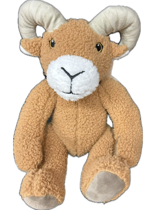 Mountain Goat