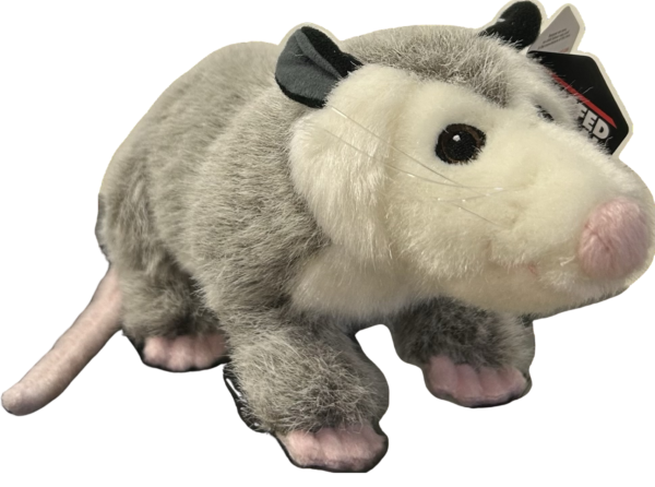 Natural Opossum