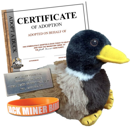 Adopt-a-Duck