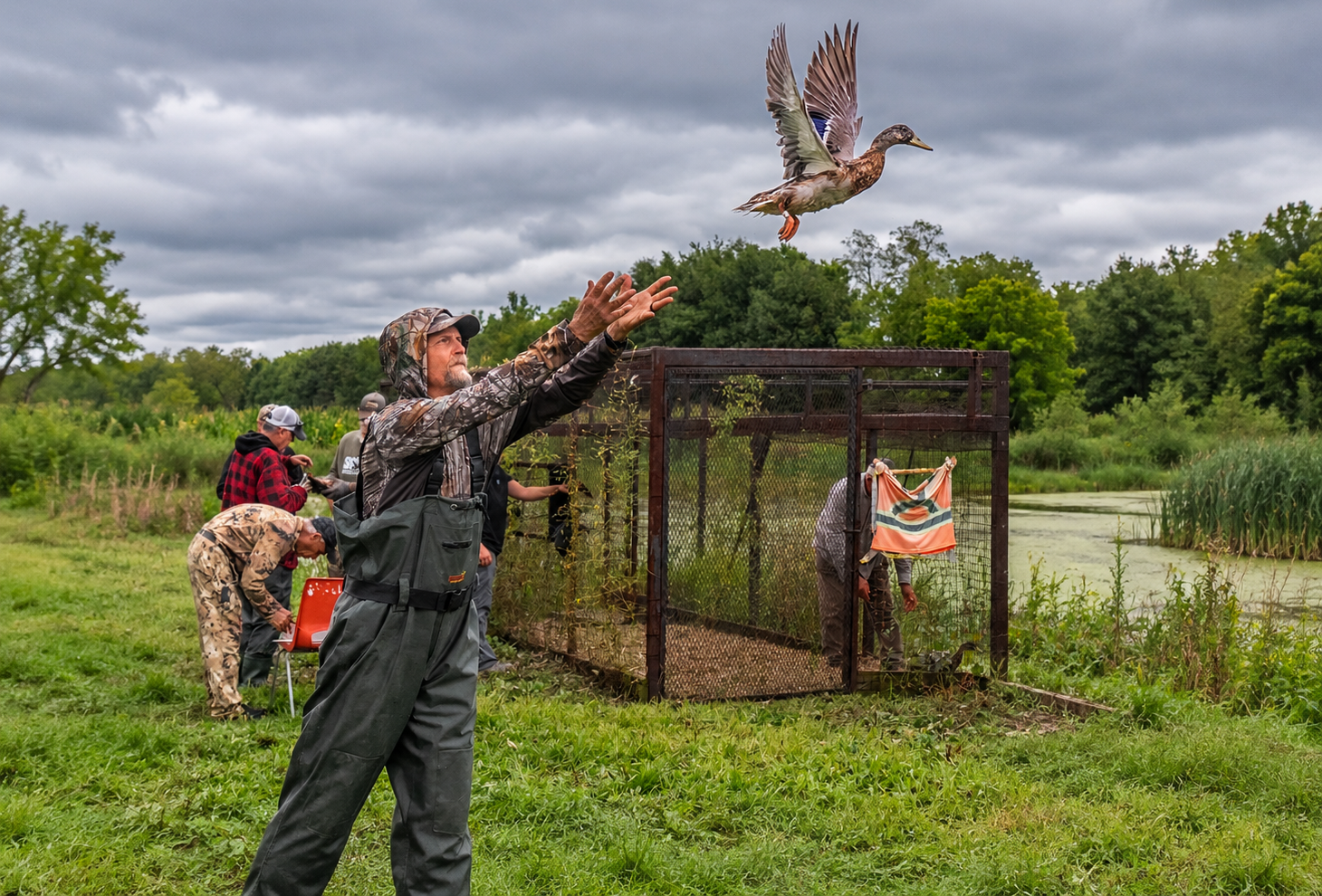 revised bird release photo